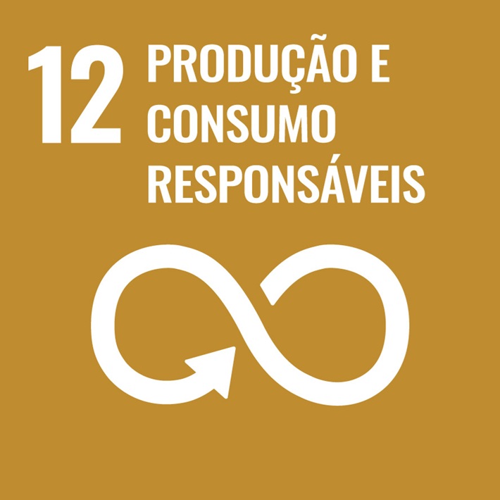 ODS 12 Consumo e Produção Responsáveis